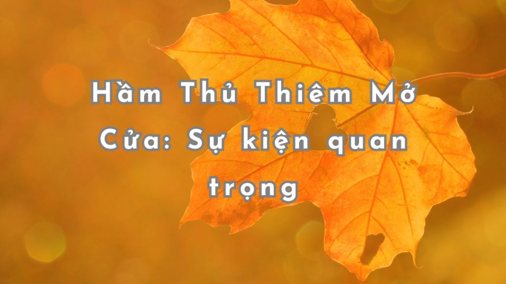 hầm thủ thiêm mở cửa